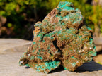 Natural Cabinet Sized Rare Bladed Barite with Malachite Specimens x 2 From Shangulowé Mine, Congo - Toprock Gemstones and Minerals 