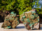 Natural Cabinet Sized Rare Bladed Barite with Malachite Specimens x 2 From Shangulowé Mine, Congo - Toprock Gemstones and Minerals 