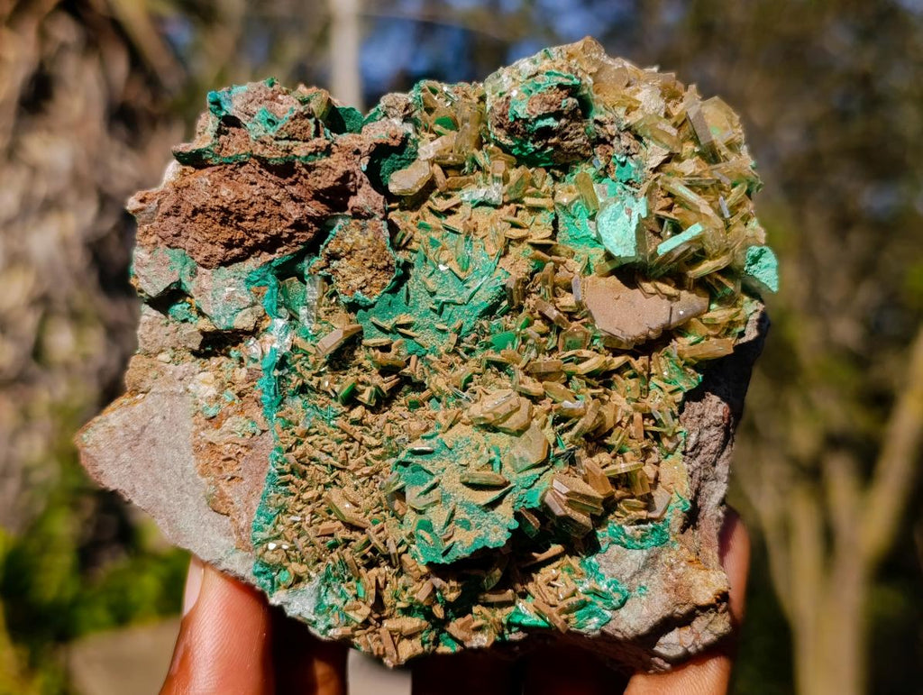 Natural Cabinet Sized Rare Bladed Barite with Malachite Specimens x 2 From Shangulowé Mine, Congo - Toprock Gemstones and Minerals 