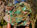Natural Cabinet Sized Rare Bladed Barite with Malachite Specimens x 2 From Shangulowé Mine, Congo - Toprock Gemstones and Minerals 