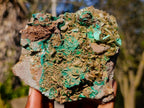 Natural Cabinet Sized Rare Bladed Barite with Malachite Specimens x 2 From Shangulowé Mine, Congo - Toprock Gemstones and Minerals 