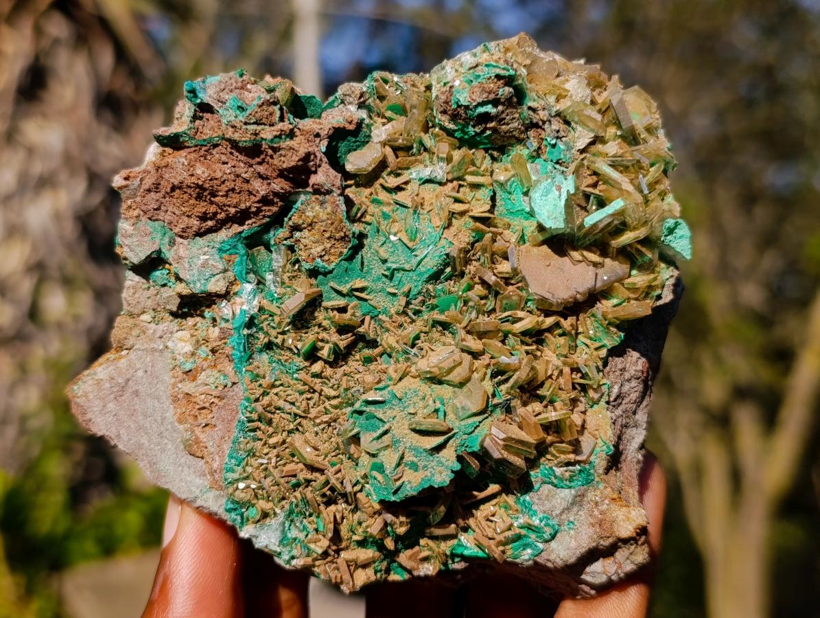 Natural Cabinet Sized Rare Bladed Barite with Malachite Specimens x 2 From Shangulowé Mine, Congo - Toprock Gemstones and Minerals 