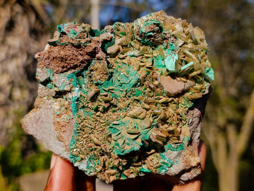 Natural Cabinet Sized Rare Bladed Barite with Malachite Specimens x 2 From Shangulowé Mine, Congo - Toprock Gemstones and Minerals 
