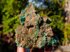 Natural Cabinet Sized Rare Bladed Barite with Malachite Specimens x 2 From Shangulowé Mine, Congo - Toprock Gemstones and Minerals 
