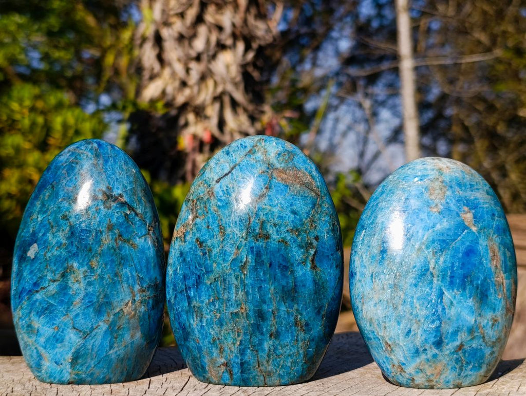 Polished Blue Apatite Standing Display Pieces x 3 From Betroka, Madagascar - Toprock Gemstones and Minerals 