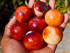 Polished Small Carnelian Agate Gemstone Spheres x 20 From Madagascar - Toprock Gemstones and Minerals 