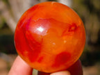 Polished Small Carnelian Agate Gemstone Spheres x 20 From Madagascar - Toprock Gemstones and Minerals 