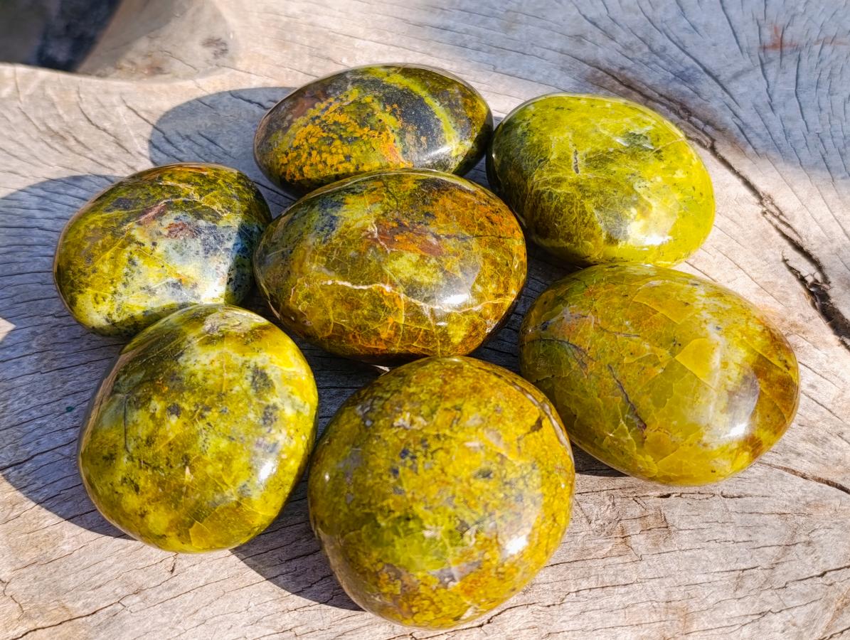 Polished Large Green Opal Palm Stones x 12 From Betroka, Madagascar - Toprock Gemstones and Minerals 