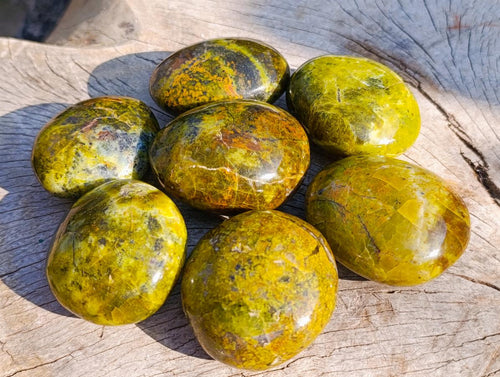 Polished Large Green Opal Palm Stones x 12 From Betroka, Madagascar - Toprock Gemstones and Minerals 