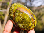 Polished Large Green Opal Palm Stones x 12 From Betroka, Madagascar - Toprock Gemstones and Minerals 