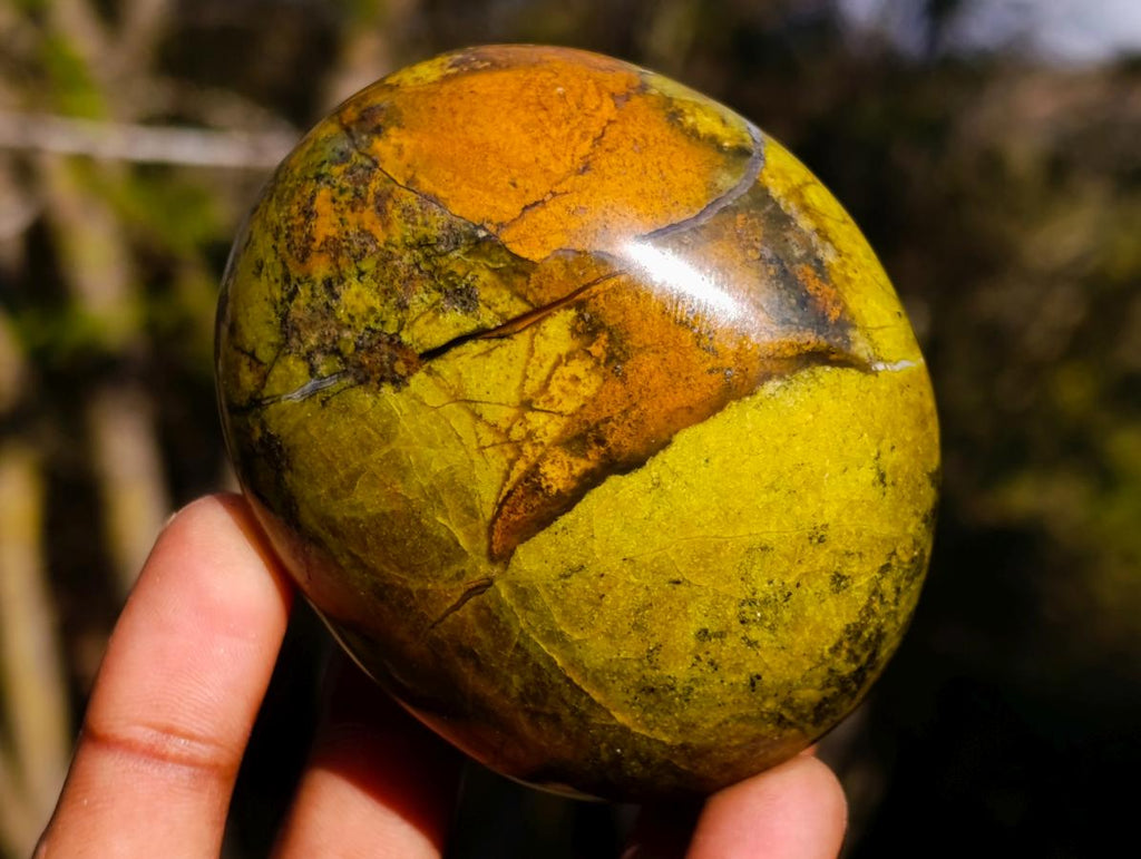 Polished Large Green Opal Palm Stones x 12 From Betroka, Madagascar - Toprock Gemstones and Minerals 