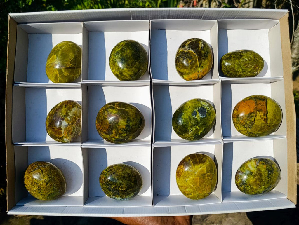 Polished Large Green Opal Palm Stones x 12 From Betroka, Madagascar - Toprock Gemstones and Minerals 