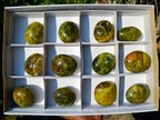 Polished Large Green Opal Palm Stones x 12 From Betroka, Madagascar - Toprock Gemstones and Minerals 
