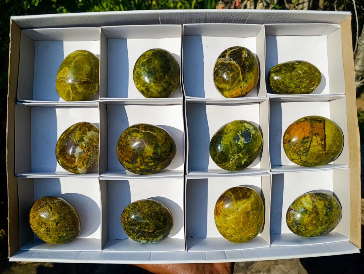 Polished Large Green Opal Palm Stones x 12 From Betroka, Madagascar - Toprock Gemstones and Minerals 