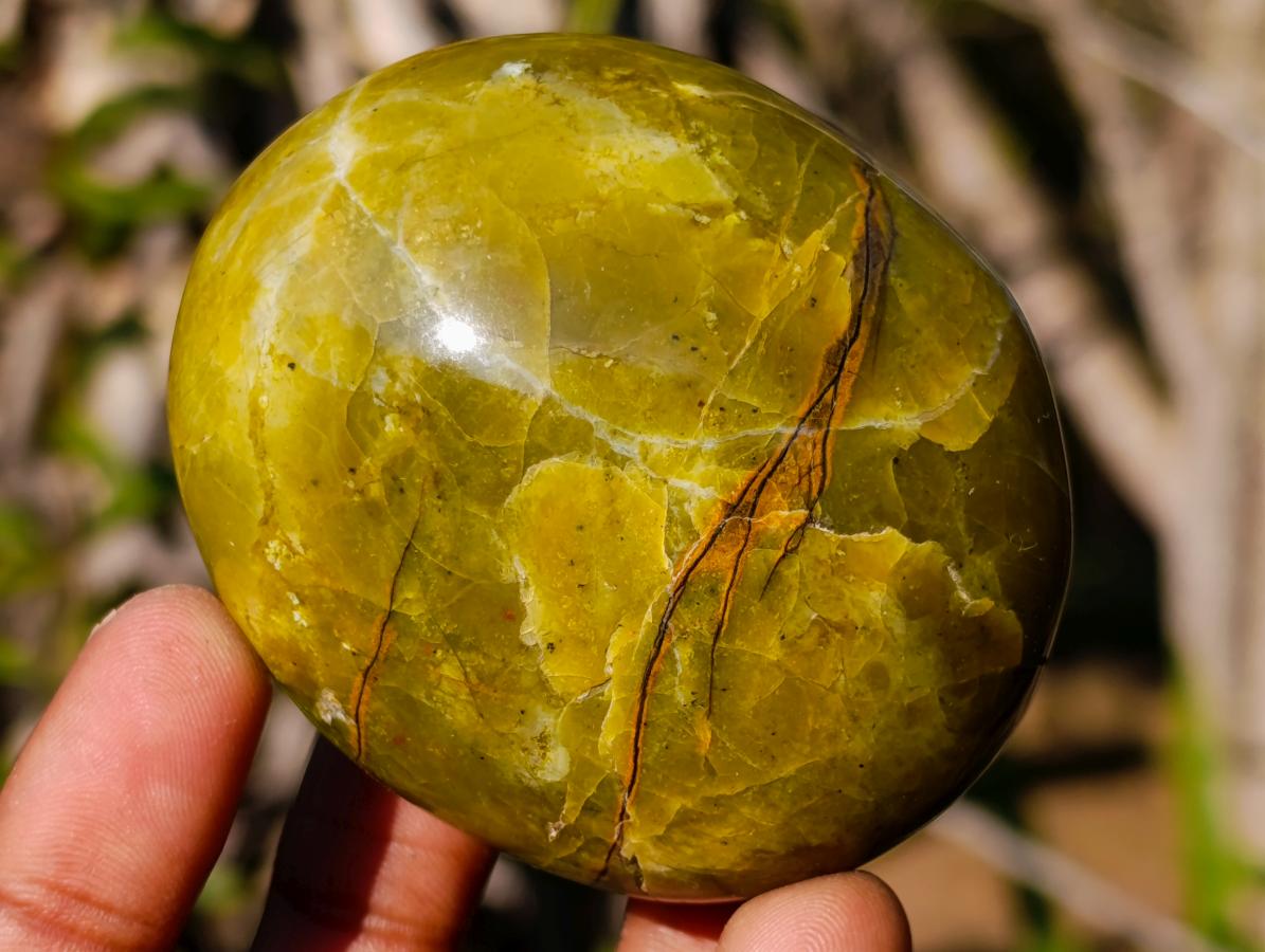 Polished Large Green Opal Palm Stones x 12 From Betroka, Madagascar - Toprock Gemstones and Minerals 