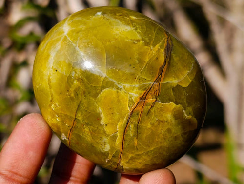 Polished Large Green Opal Palm Stones x 12 From Betroka, Madagascar - Toprock Gemstones and Minerals 