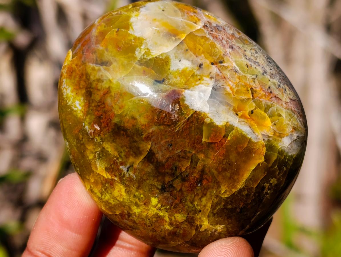 Polished Large Green Opal Palm Stones x 12 From Betroka, Madagascar - Toprock Gemstones and Minerals 