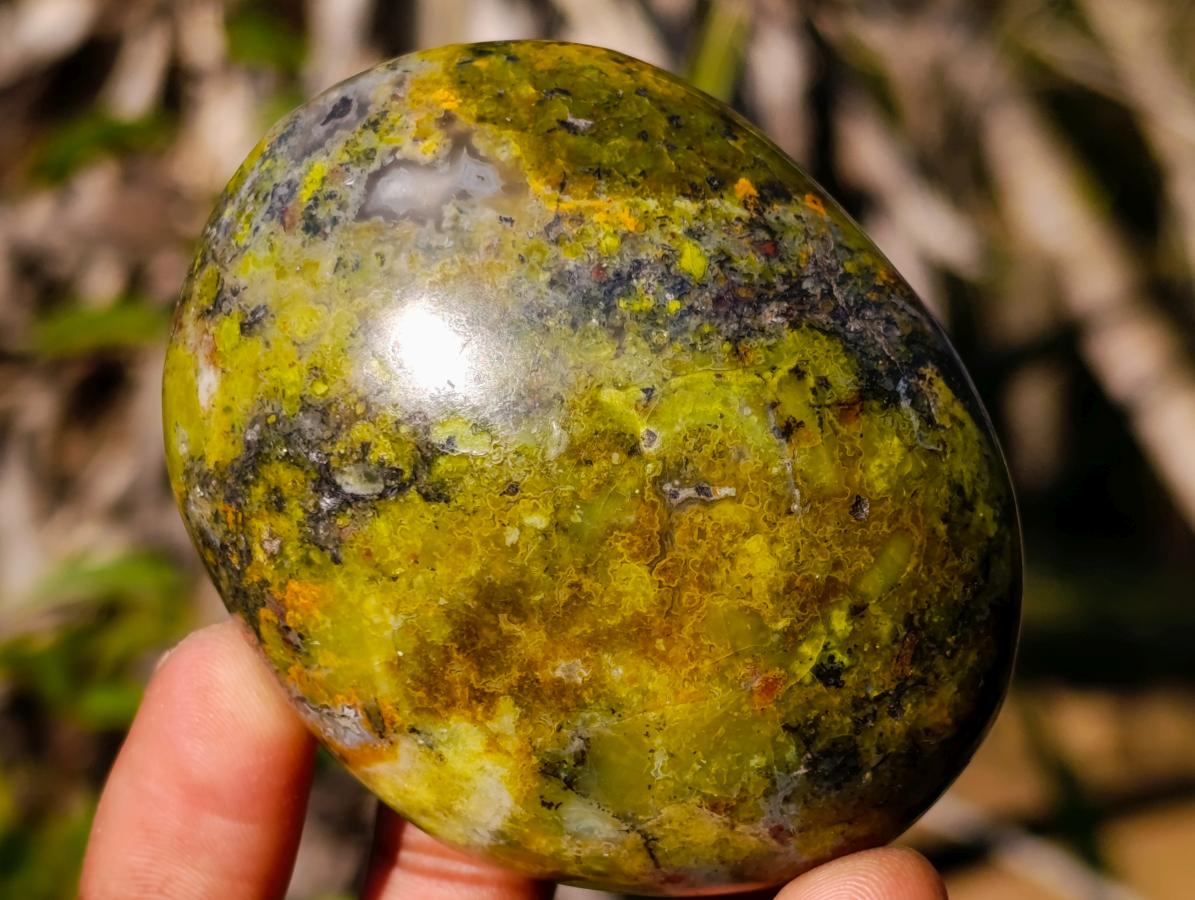 Polished Large Green Opal Palm Stones x 12 From Betroka, Madagascar - Toprock Gemstones and Minerals 