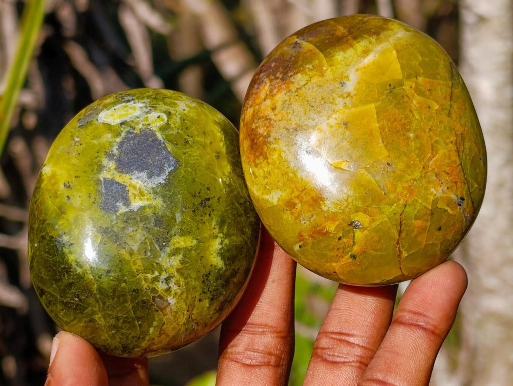 Polished Large Green Opal Palm Stones x 12 From Betroka, Madagascar - Toprock Gemstones and Minerals 