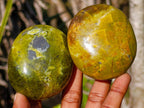Polished Large Green Opal Palm Stones x 12 From Betroka, Madagascar - Toprock Gemstones and Minerals 