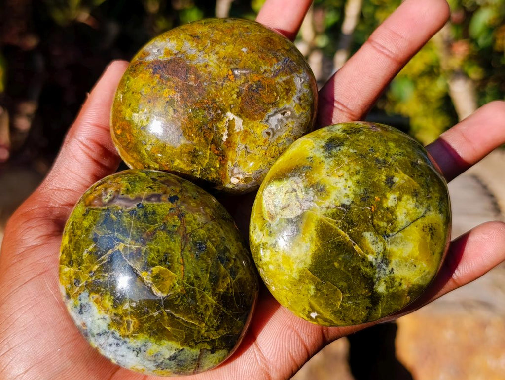 Polished Large Green Opal Palm Stones x 12 From Betroka, Madagascar - Toprock Gemstones and Minerals 
