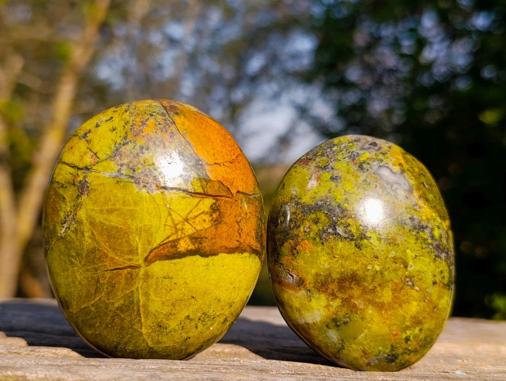 Polished Large Green Opal Palm Stones x 12 From Betroka, Madagascar - Toprock Gemstones and Minerals 