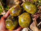 Polished Large Green Opal Palm Stones x 12 From Betroka, Madagascar - Toprock Gemstones and Minerals 