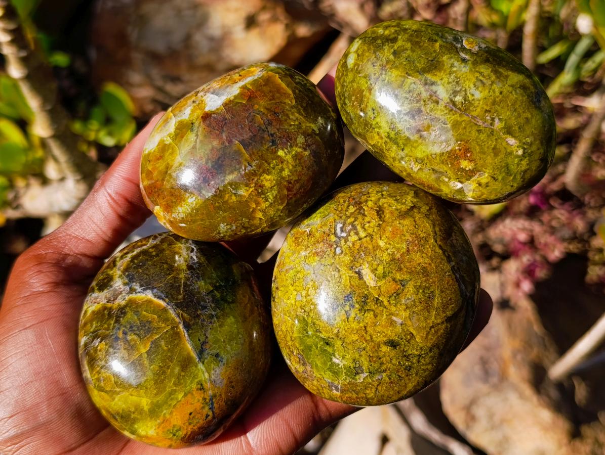 Polished Large Green Opal Palm Stones x 12 From Betroka, Madagascar - Toprock Gemstones and Minerals 