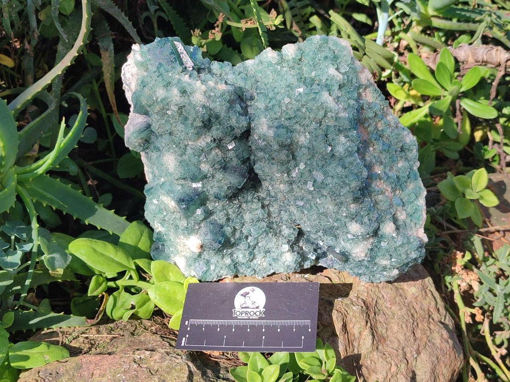 Natural Large Green Cubic Fluorite Specimen x 1 From Mandrosonoro, Madagascar - Toprock Gemstones and Minerals 