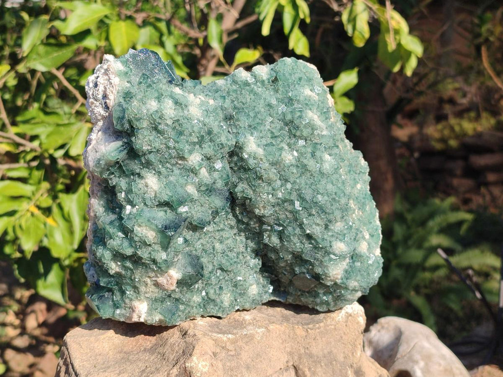 Natural Large Green Cubic Fluorite Specimen x 1 From Mandrosonoro, Madagascar - Toprock Gemstones and Minerals 