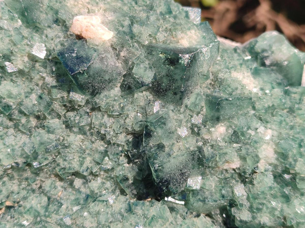Natural Large Green Cubic Fluorite Specimen x 1 From Mandrosonoro, Madagascar - Toprock Gemstones and Minerals 