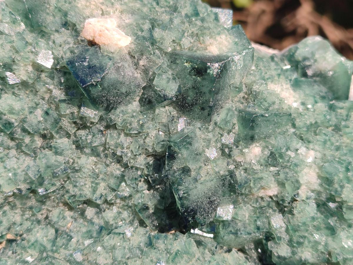Natural Large Green Cubic Fluorite Specimen x 1 From Mandrosonoro, Madagascar - Toprock Gemstones and Minerals 