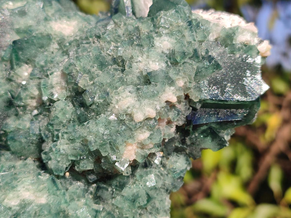 Natural Large Green Cubic Fluorite Specimen x 1 From Mandrosonoro, Madagascar - Toprock Gemstones and Minerals 