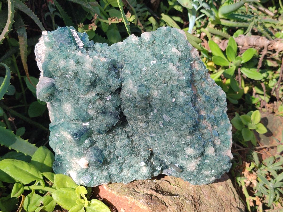 Natural Large Green Cubic Fluorite Specimen x 1 From Mandrosonoro, Madagascar - Toprock Gemstones and Minerals 