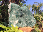 Natural Large Green Cubic Fluorite Specimen x 1 From Mandrosonoro, Madagascar - Toprock Gemstones and Minerals 