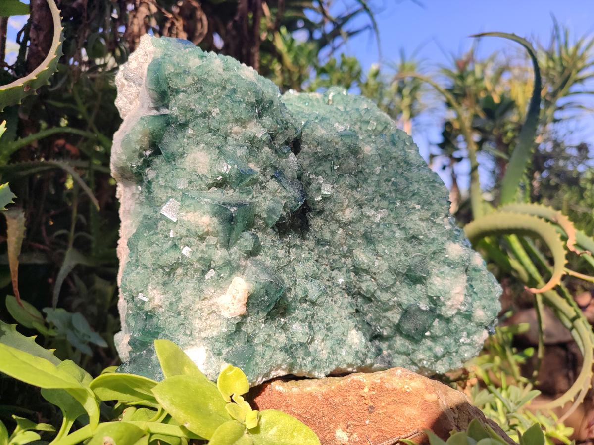 Natural Large Green Cubic Fluorite Specimen x 1 From Mandrosonoro, Madagascar - Toprock Gemstones and Minerals 