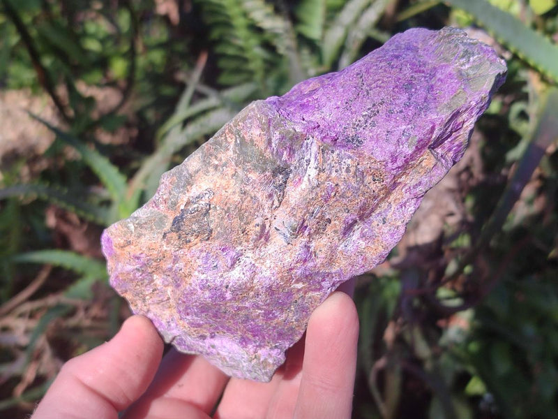 Natural Cobbed Stichtite Specimens x 5 From Barberton, South Africa - Toprock Gemstones and Minerals 