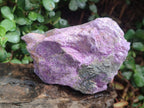 Natural Cobbed Stichtite Specimens x 5 From Barberton, South Africa - Toprock Gemstones and Minerals 