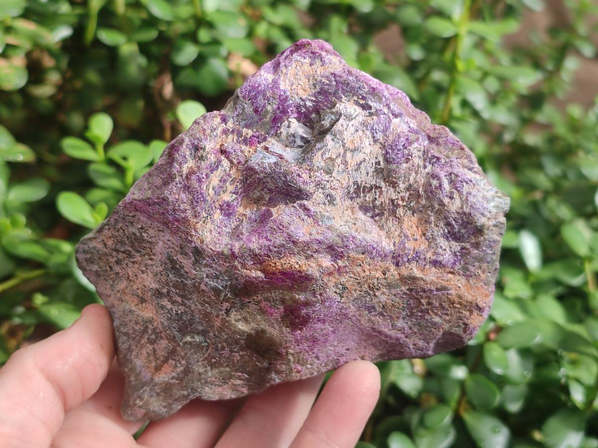 Natural Cobbed Stichtite Specimens x 5 From Barberton, South Africa - Toprock Gemstones and Minerals 