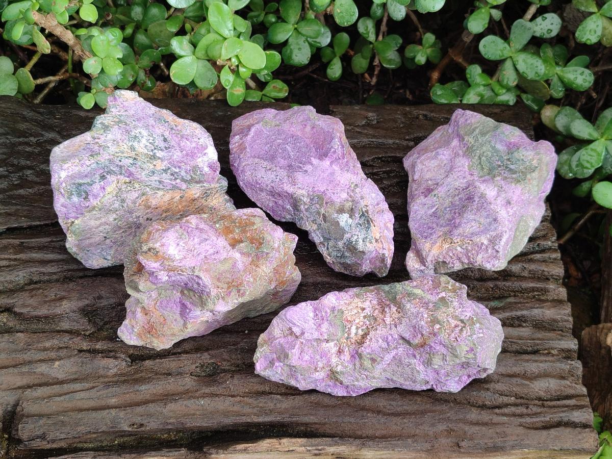 Natural Cobbed Stichtite Specimens x 5 From Barberton, South Africa - Toprock Gemstones and Minerals 