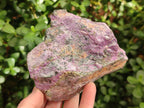 Natural Cobbed Stichtite Specimens x 5 From Barberton, South Africa - Toprock Gemstones and Minerals 
