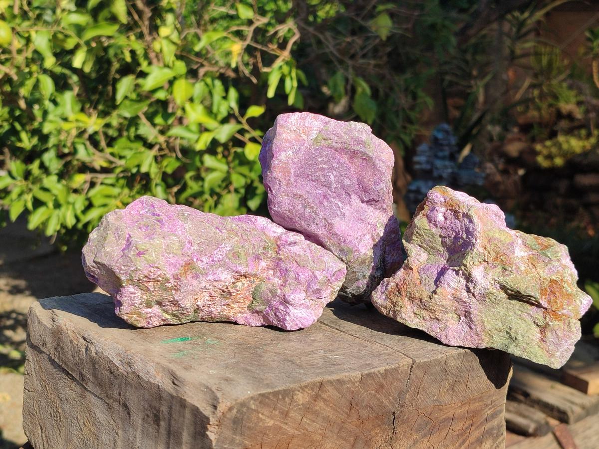Natural Cobbed Stichtite Specimens x 5 From Barberton, South Africa - Toprock Gemstones and Minerals 