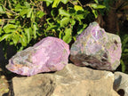 Natural Cobbed Stichtite Specimens x 5 From Barberton, South Africa - Toprock Gemstones and Minerals 