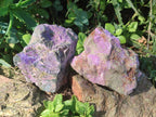 Natural Cobbed Stichtite Specimens x 5 From Barberton, South Africa - Toprock Gemstones and Minerals 