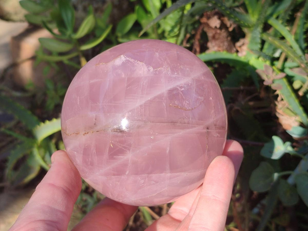Polished Large Gemmy Star Rose Quartz Spheres x 2 From Madagascar - Toprock Gemstones and Minerals 