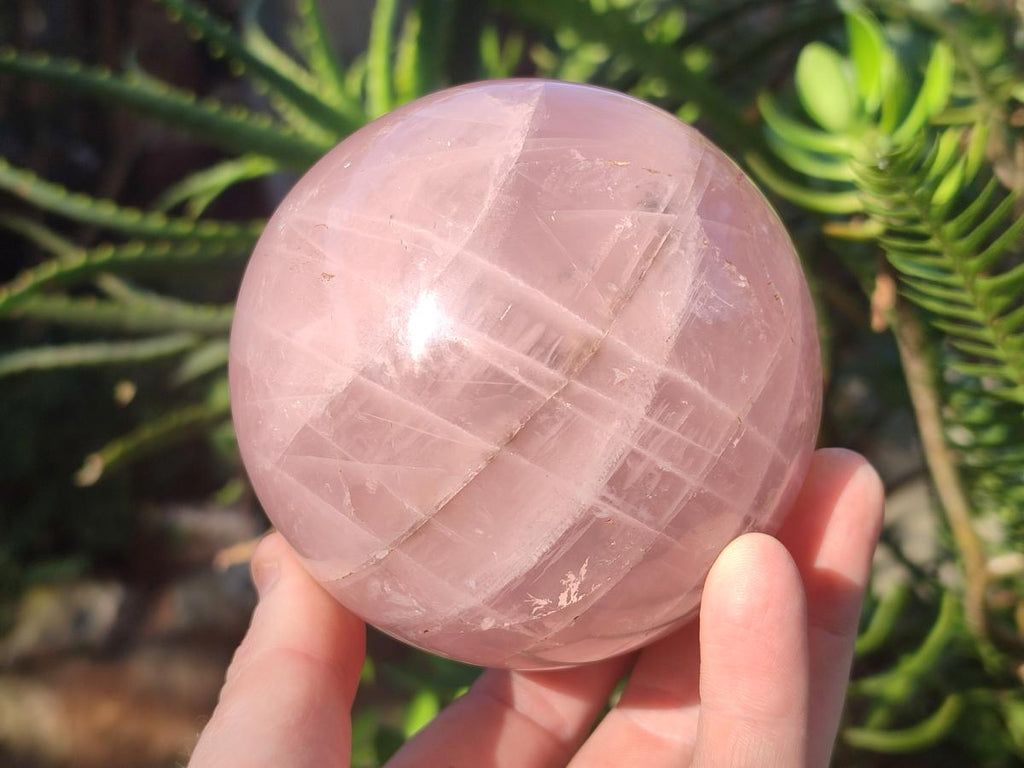 Polished Large Gemmy Star Rose Quartz Spheres x 2 From Madagascar - Toprock Gemstones and Minerals 
