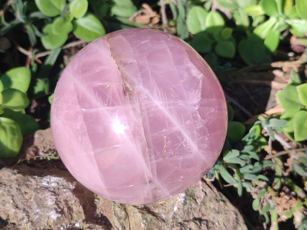 Polished Large Gemmy Star Rose Quartz Spheres x 2 From Madagascar - Toprock Gemstones and Minerals 