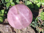 Polished Large Gemmy Star Rose Quartz Spheres x 2 From Madagascar - Toprock Gemstones and Minerals 