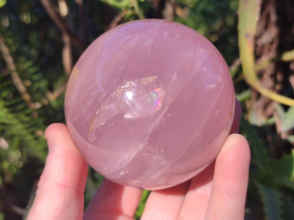 Polished Large Gemmy Star Rose Quartz Spheres x 2 From Madagascar - Toprock Gemstones and Minerals 