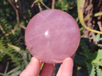Polished Large Gemmy Star Rose Quartz Spheres x 2 From Madagascar - Toprock Gemstones and Minerals 